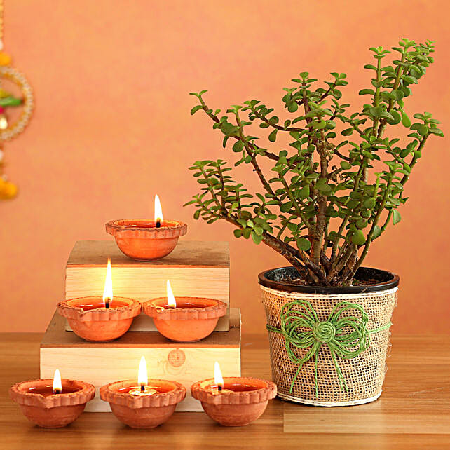 Buy/Send Jade Plant 6 Earthen Diyas Online FNP