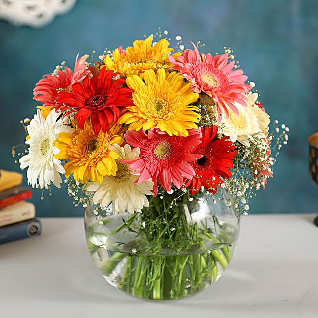 Buy/Send Classy Mix Of Gerberas Online- FNP