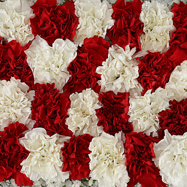 Buy/Send White & Red Carnations Arrangement Online Ferns N Petals