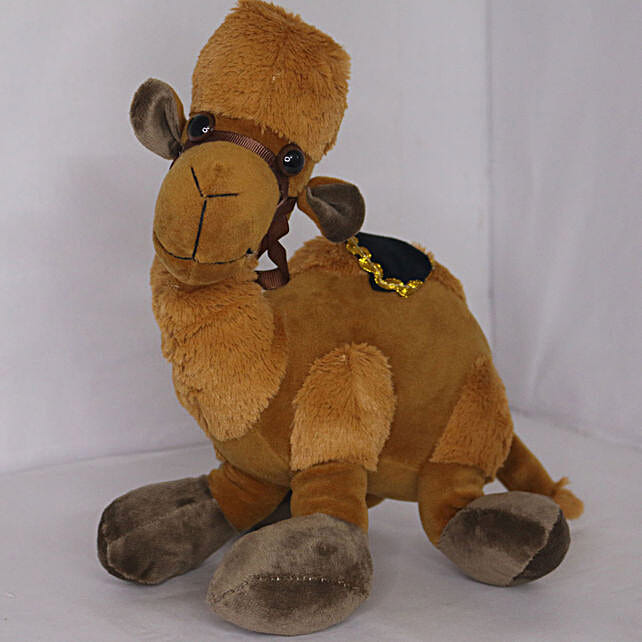 Buy/Send Soft Toy Camel Online FNP