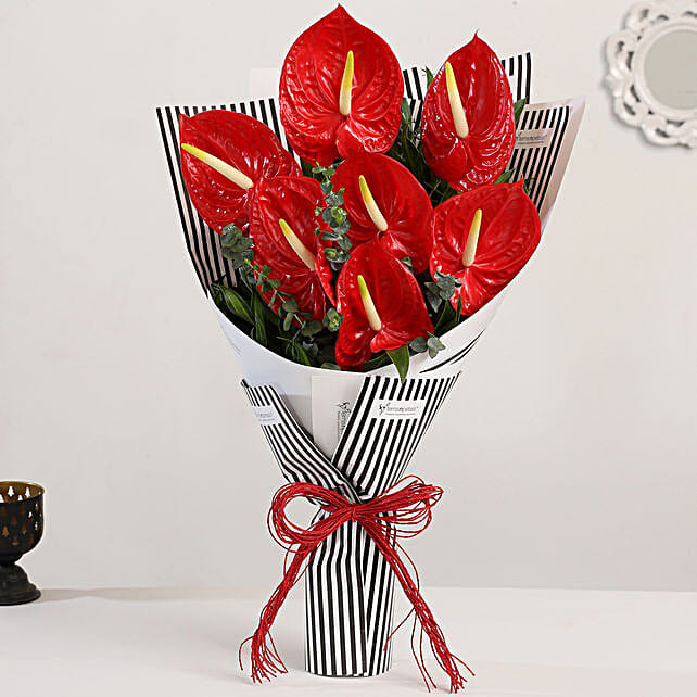 Send Anthuriums Flowers Online Anthuriums Flower Delivery Ferns N Petals