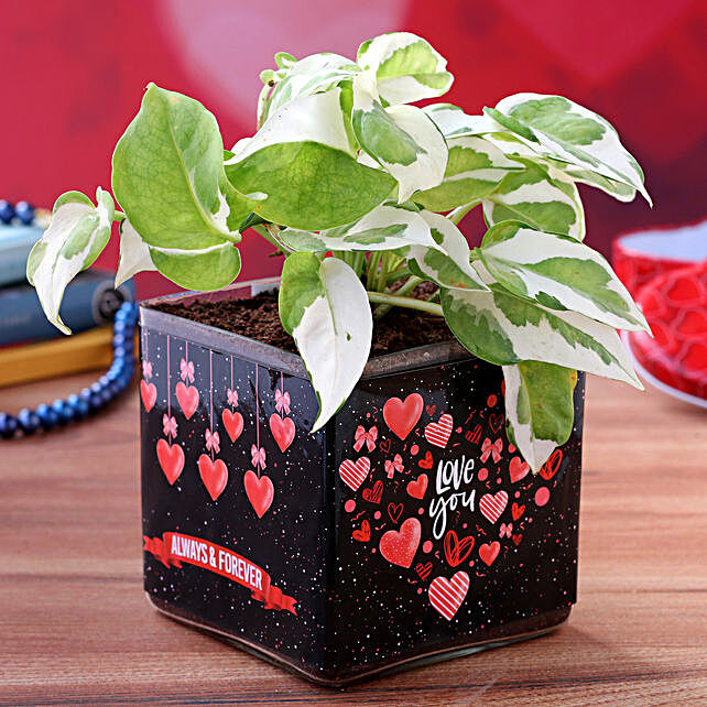 Valentine Gifts For Him Online Best Romantic Valentine S Day Gifts For Men In India Ferns N Petals