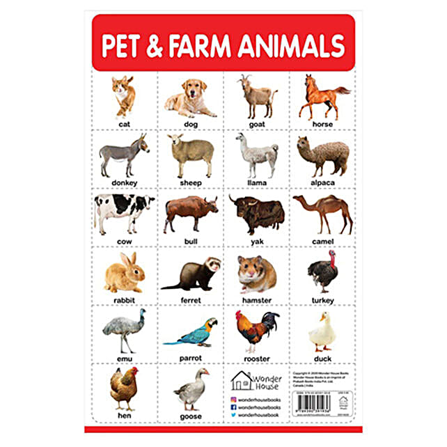 Buy/Send My First Early Learning Educational Poster- Pet & Farm Animals ...