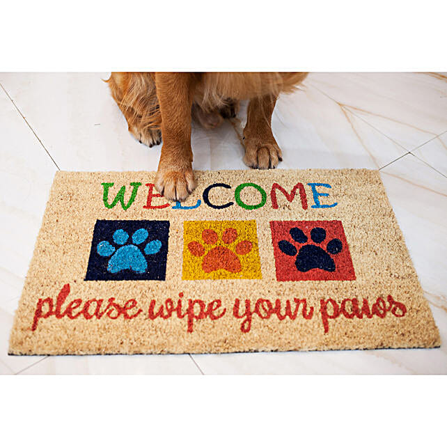 Buy/Send Wipe Your Paws Door Mat Online- FNP