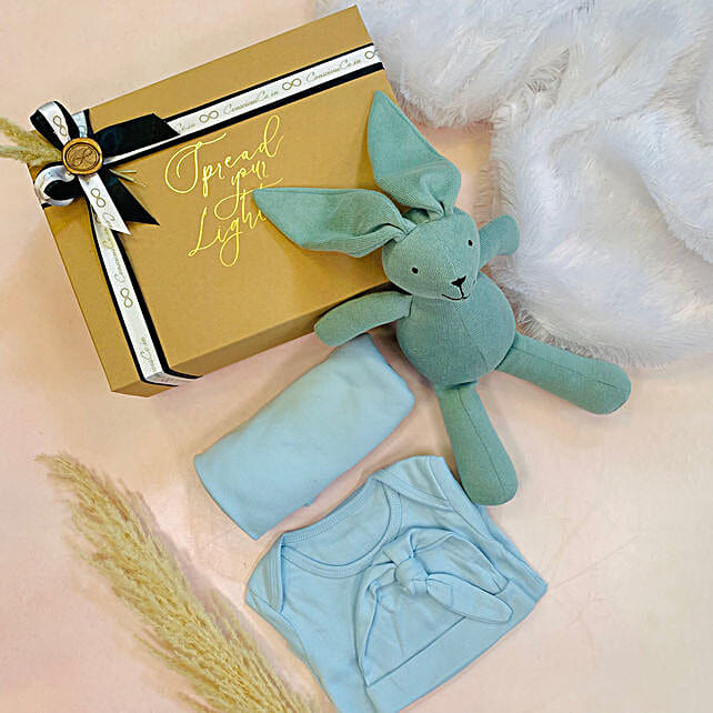 Buy/Send New Baby Delight Gift Box Online FNP