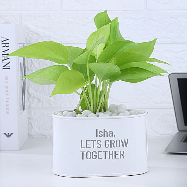 Buy/Send Money Plant In Personalised Let's Grow Together Online- FNP