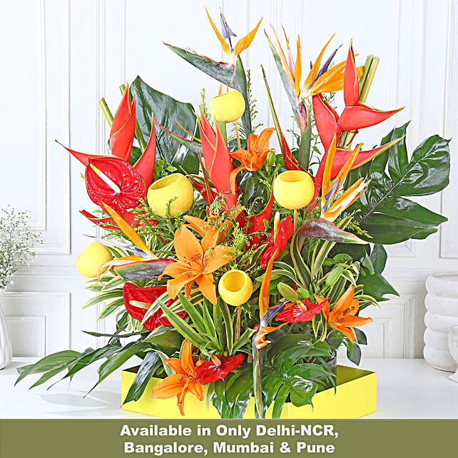 Buy/Send Orange Lily Blaze Online- FNP