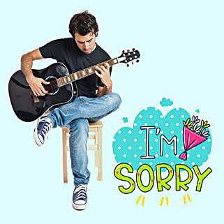 Send Sorry Gift Apology Gifts Online In India Ferns N Petals