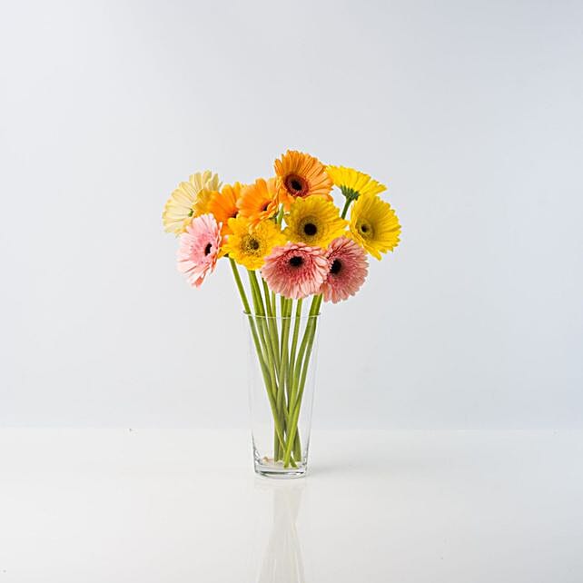 Summer Daisy Gerbera newzealand Gift Summer Daisy Gerbera FNP