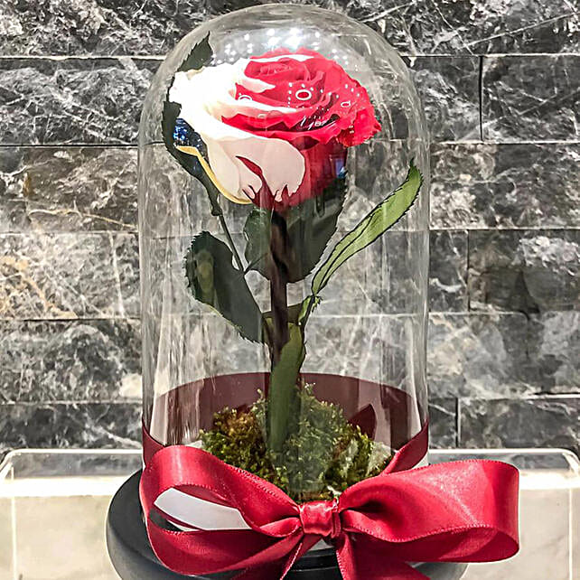 Qatar Rose Dome qatar Gift Qatar Rose Dome FNP