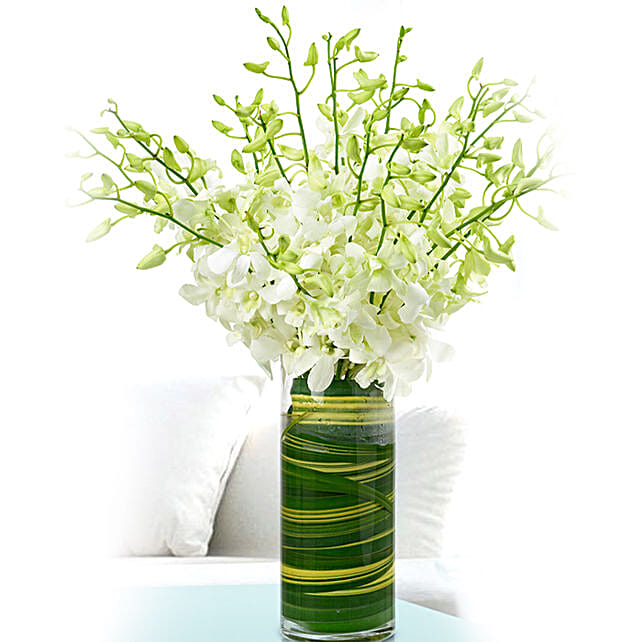 Stems White Dendrobium Orchids Vase Qatar Gift Dendrobium Orchids Vase Online Ferns N Petals