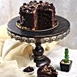 Crunchy Chocolate Hazelnut Cake Half Kg