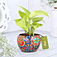 Money Plant In Colourfull Rajwada Printed Pot Hand Delivery