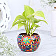 Money Plant In Colourfull Rajwada Printed Pot Hand Delivery