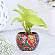 Money Plant In Colourfull Rajwada Printed Pot Hand Delivery