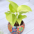 Money Plant In Colourfull Rajwada Printed Pot Hand Delivery