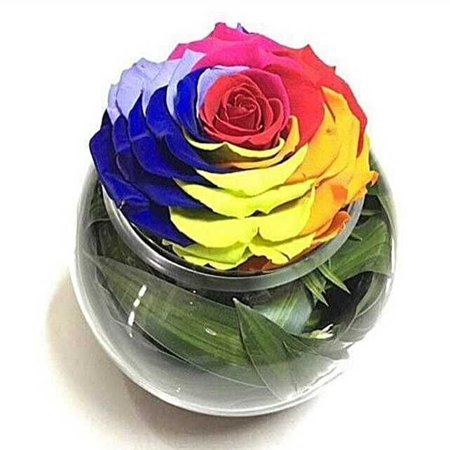 Preserved Rainbow Rose In Round Vase saudi-arabia | Gift Preserved Rainbow  Rose In Round Vase- FNP