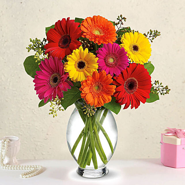 Heavenly Multicoloured Gerberas Vase Arrangement singapore Gift