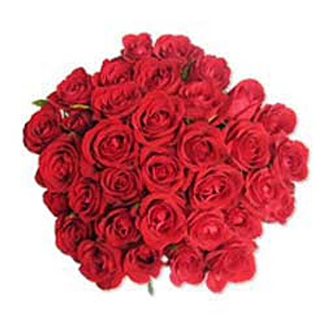 12 Red Roses in Cellophane SA south-africa | Gift 12 Red Roses in ...