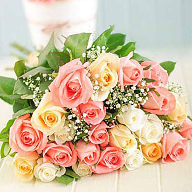 Pastel Perfection southafrica Gift Pastel Perfection FNP