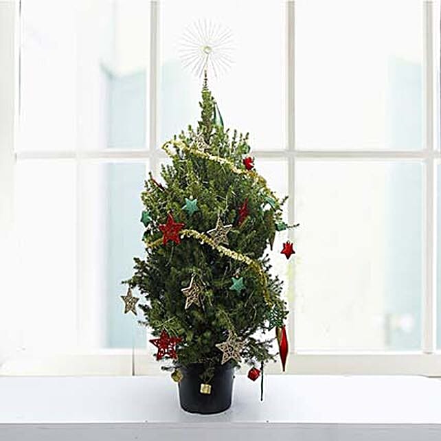 Christmas Tree uae Gift Christmas Tree FNP