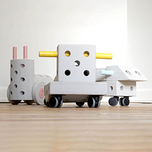 Build And Play Kit For Indoor uae Gift Build And Play Kit For Indoor FNP