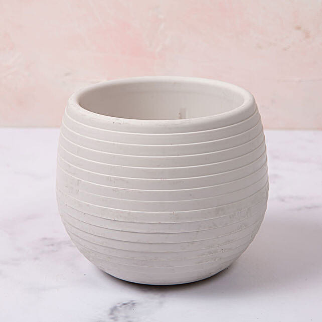 White Plastic Planter uae Gift White Plastic Planter FNP