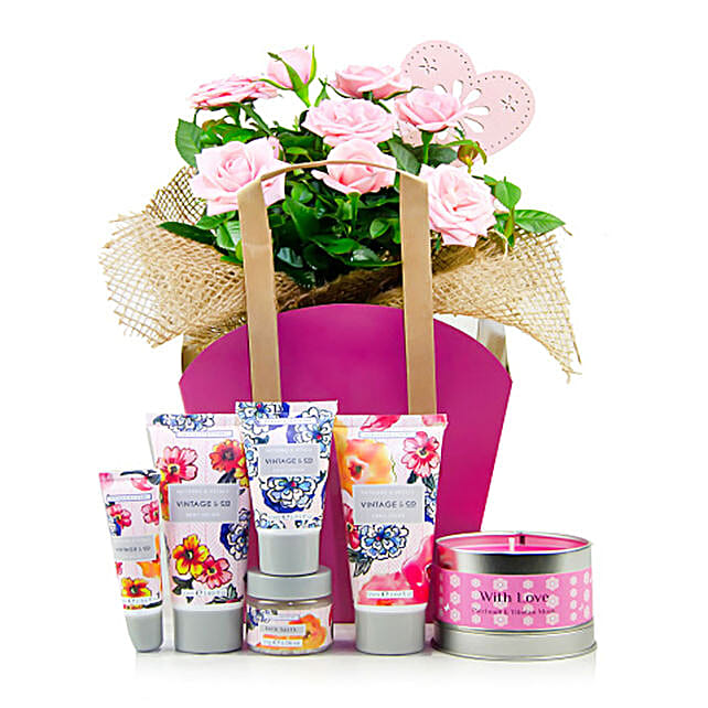 Skin Care Essentials And Rose Plant Hamper uk Gift Skin Care Essentials And Rose Plant Hamper FNP
