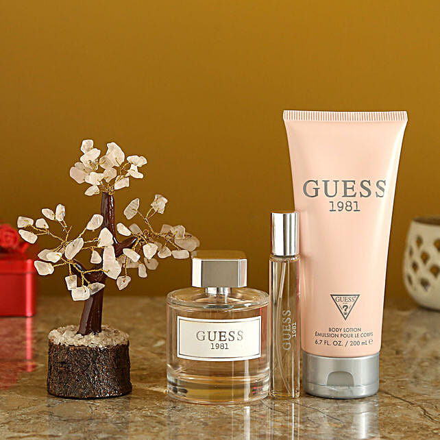 set guess 1981