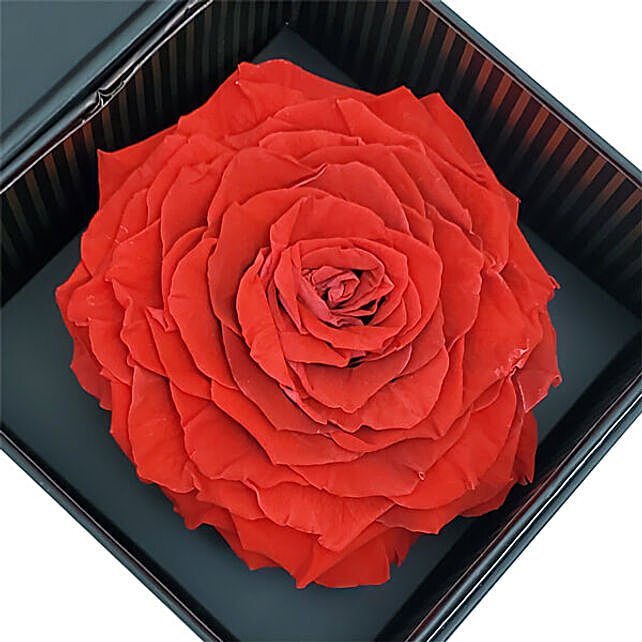 Eternal Red Rose With Ferrero Rocher Chocolates usa | Gift Eternal Red ...