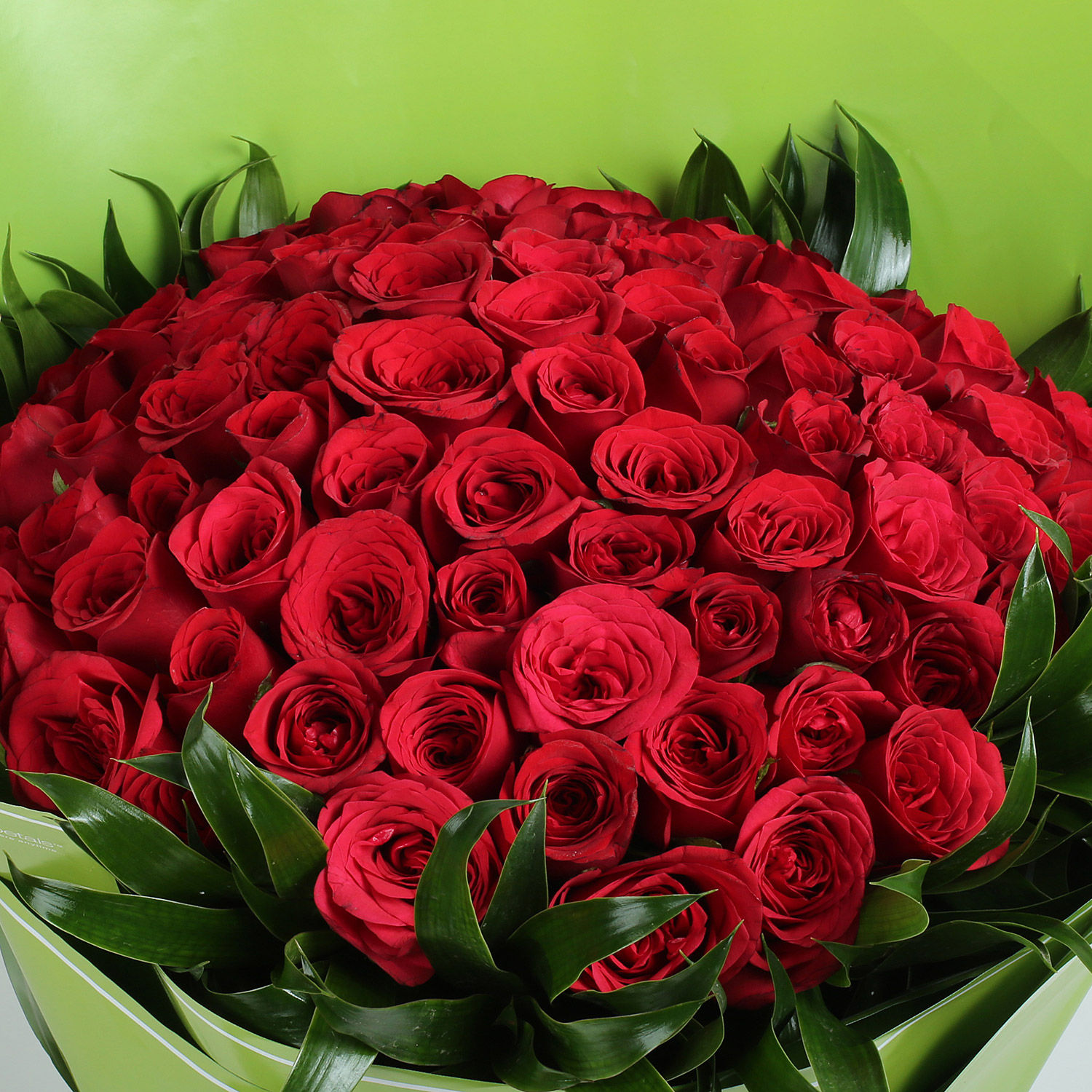 Buy/Send 75 Beautiful Red Roses Bunch Online- Ferns N Petals