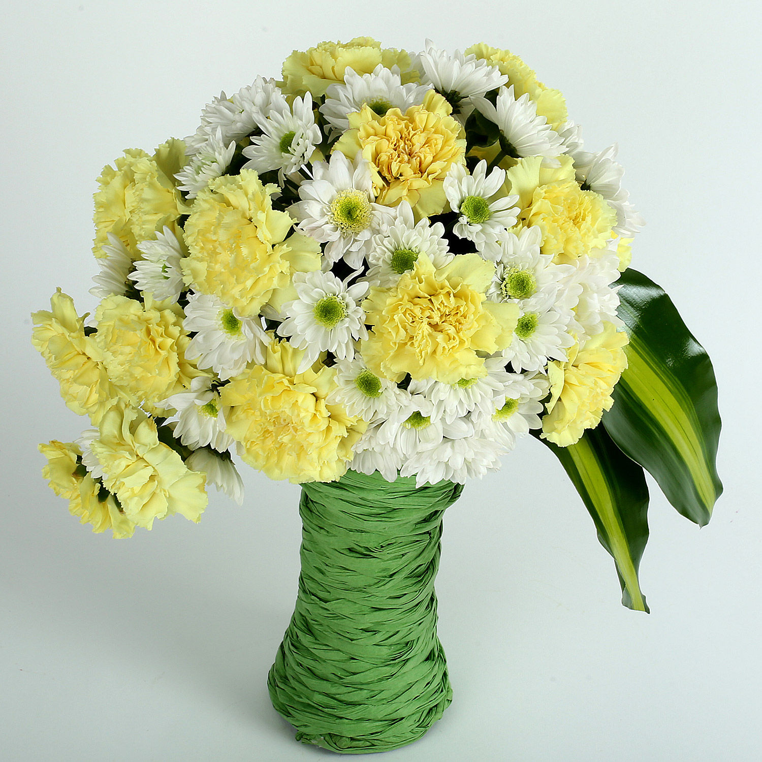 Buy/Send Daisies N Carnations Arrangement Online Ferns N Petals