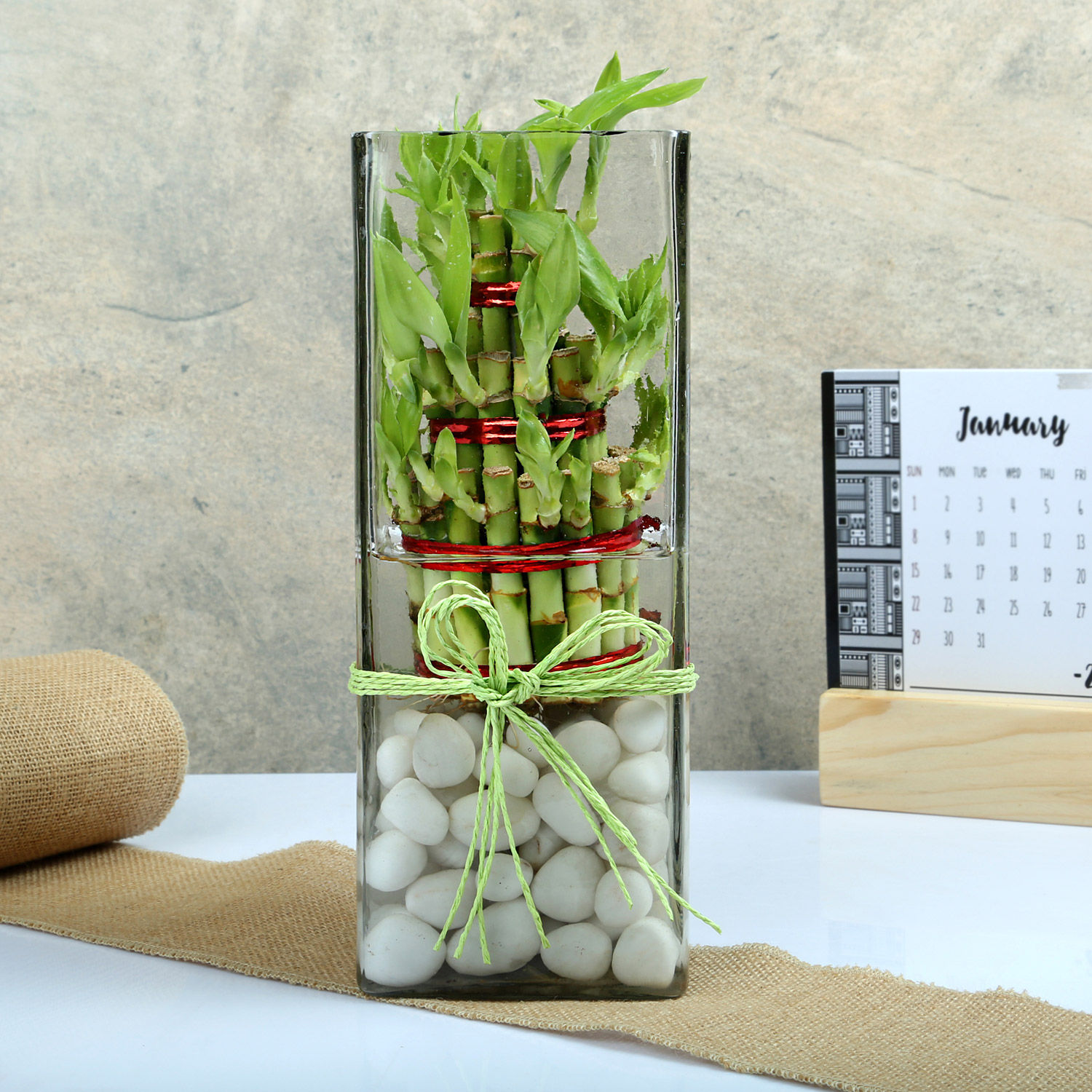 Buy/Send Exquisite Three Layer Bamboo Terrarium Online Ferns N Petals