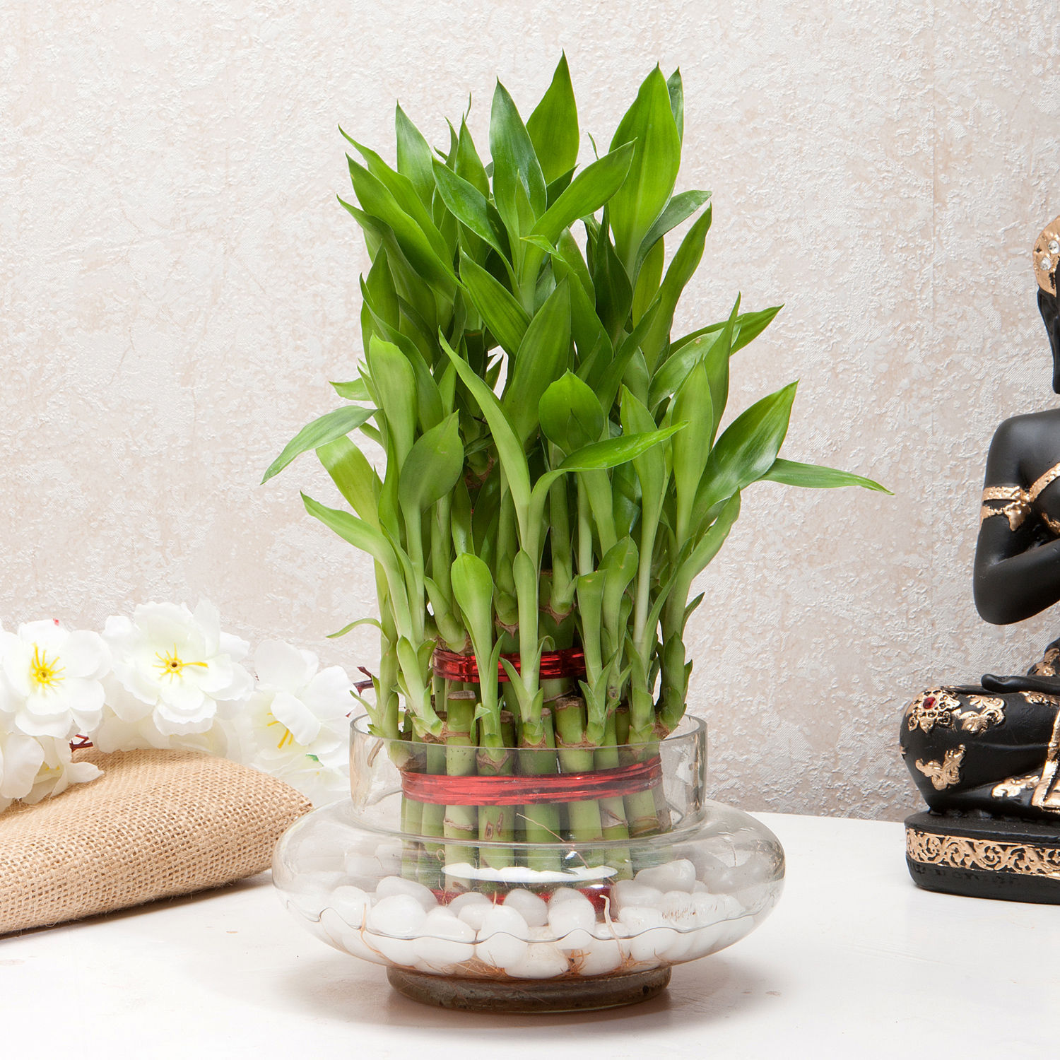 Buy/Send Three Layer Bamboo Good Luck Terrarium Online- Ferns N Petals