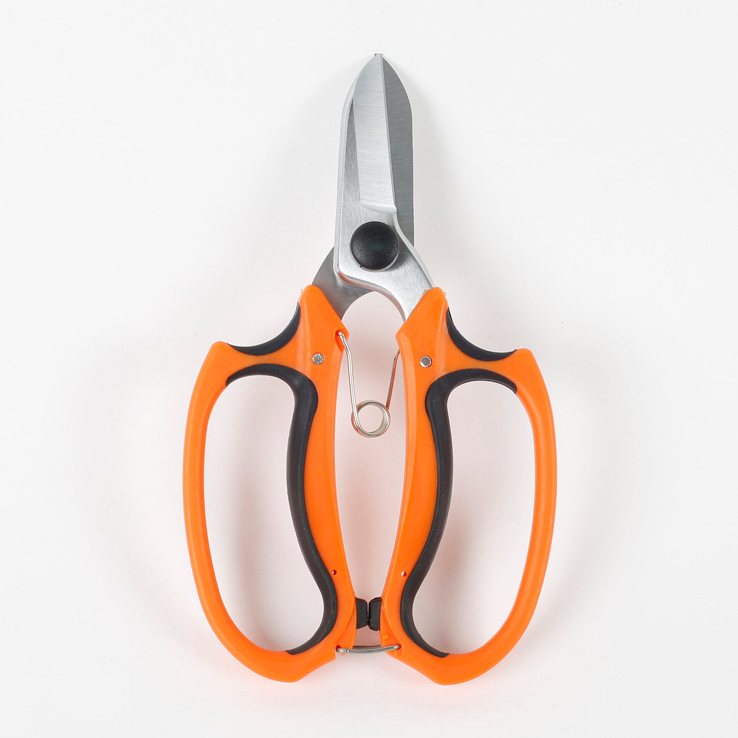 Buy/Send Steel Bonsai Cutter Online Ferns N Petals