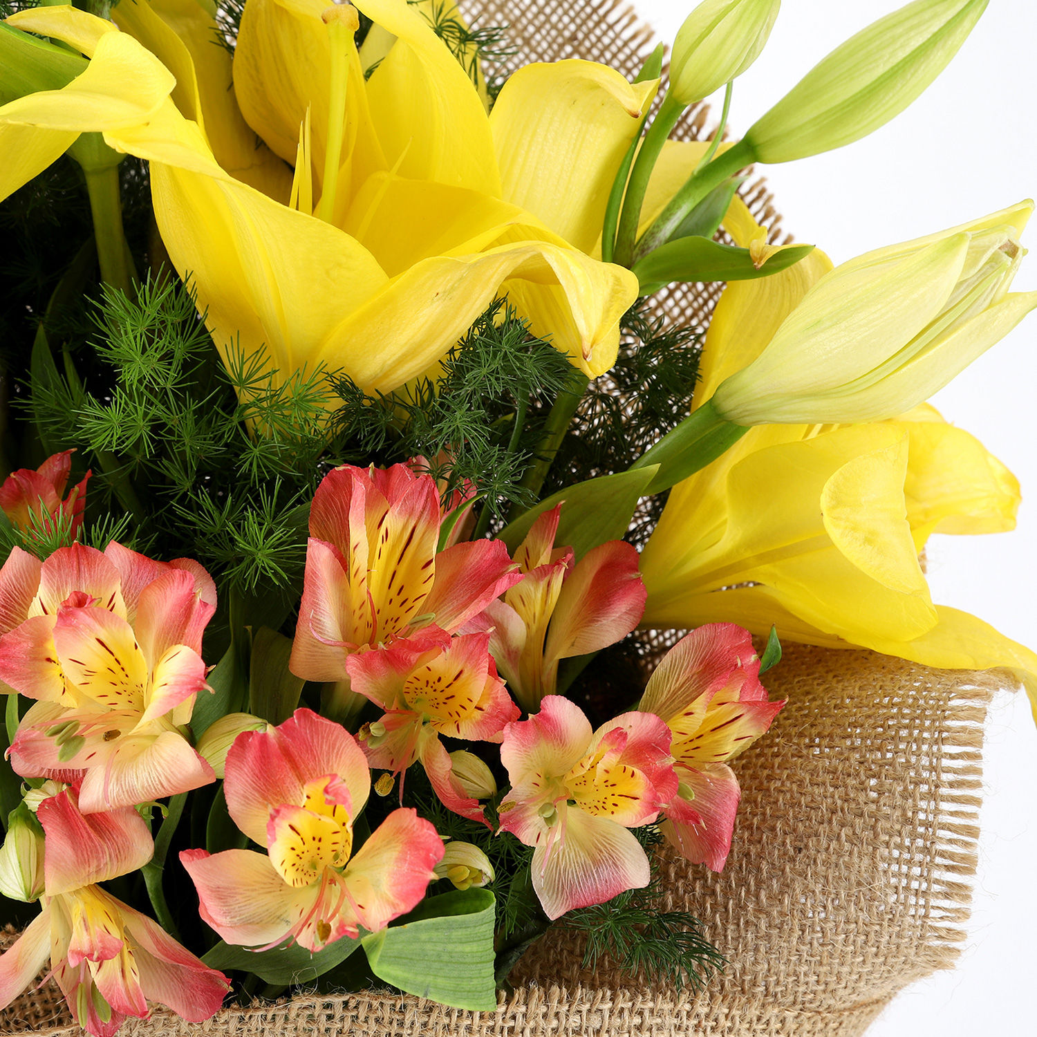 Buy/Send Posy of Yellow Flowers with Bournville Online Ferns N Petals
