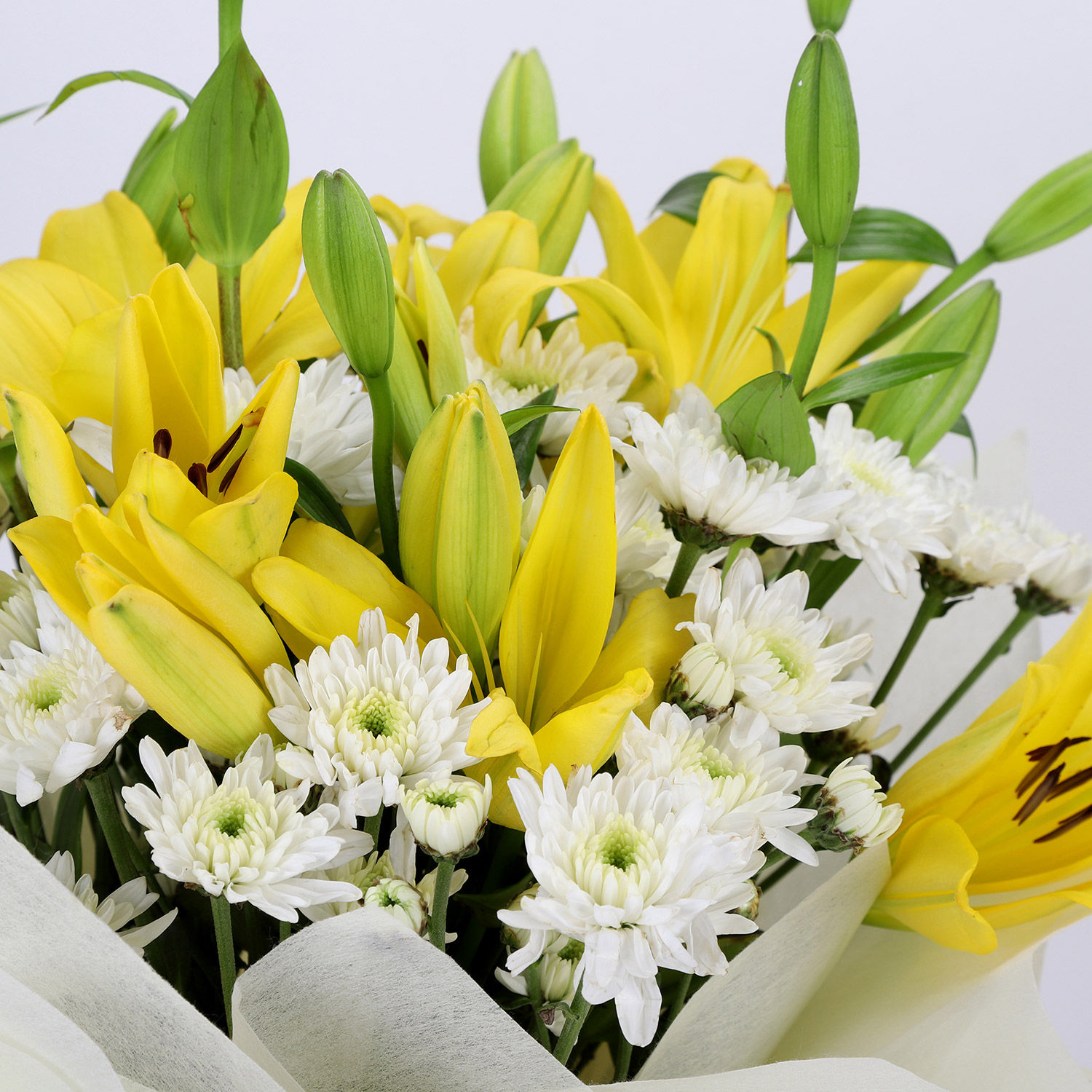 Buy/Send Daisies & Lilies Mixed Love Bouquet Online Ferns N Petals