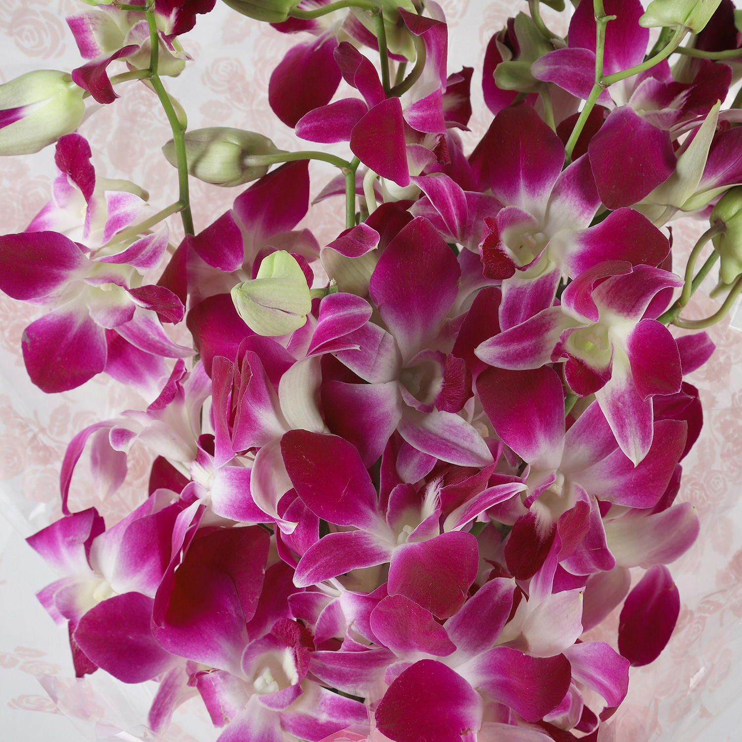 Buy Send Royal Orchids Bunch Online- Ferns Petals