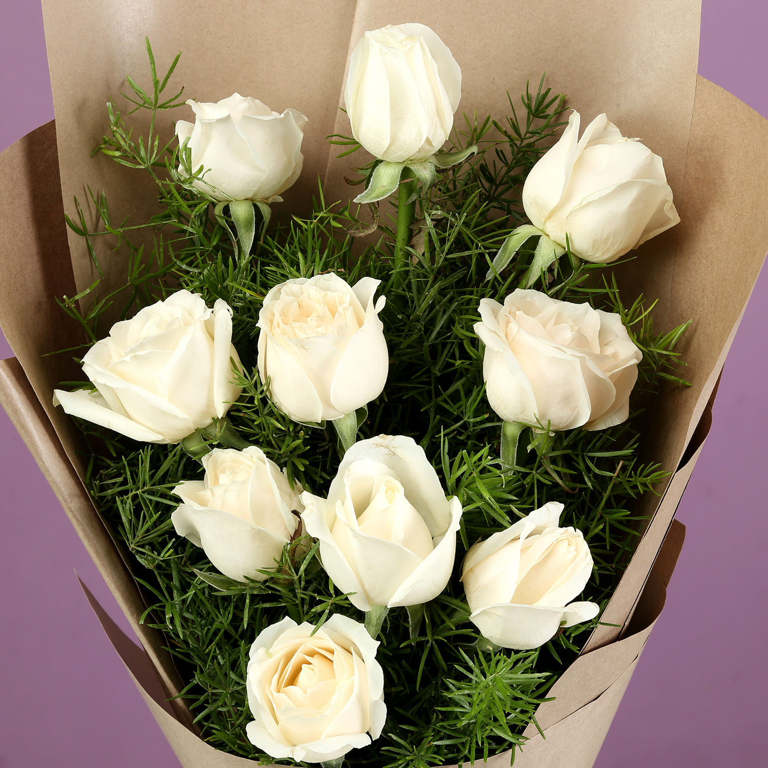 White rose institute image