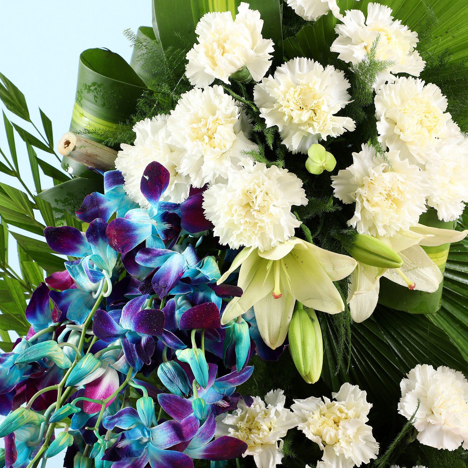 Buy/Send Blue & White Flower Arrangement Online Ferns N Petals