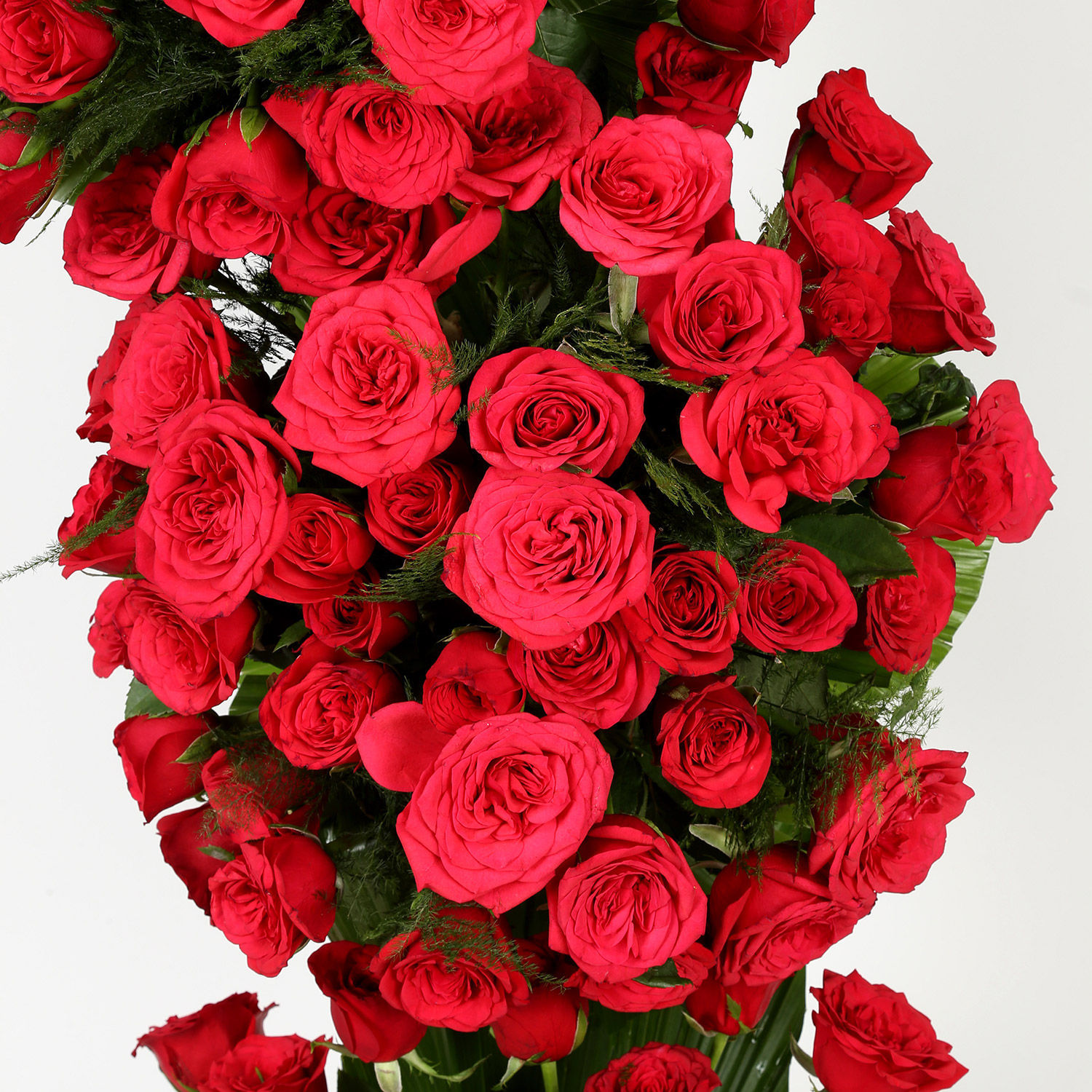 Buy/Send 100 Red Roses Premium Arrangement Online Ferns N Petals