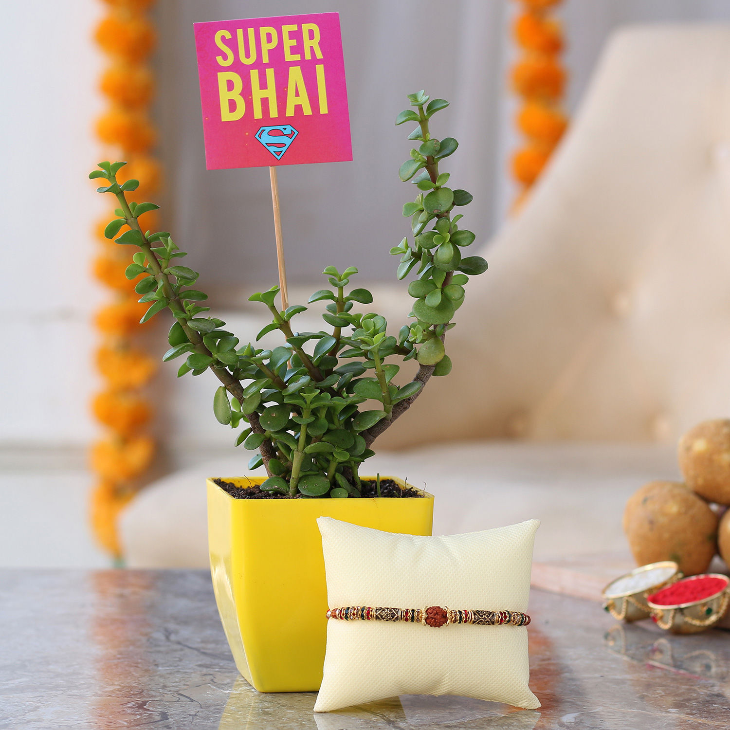 Buy/Send Jade Plant And Rudraksh Rakhi Online Ferns N Petals