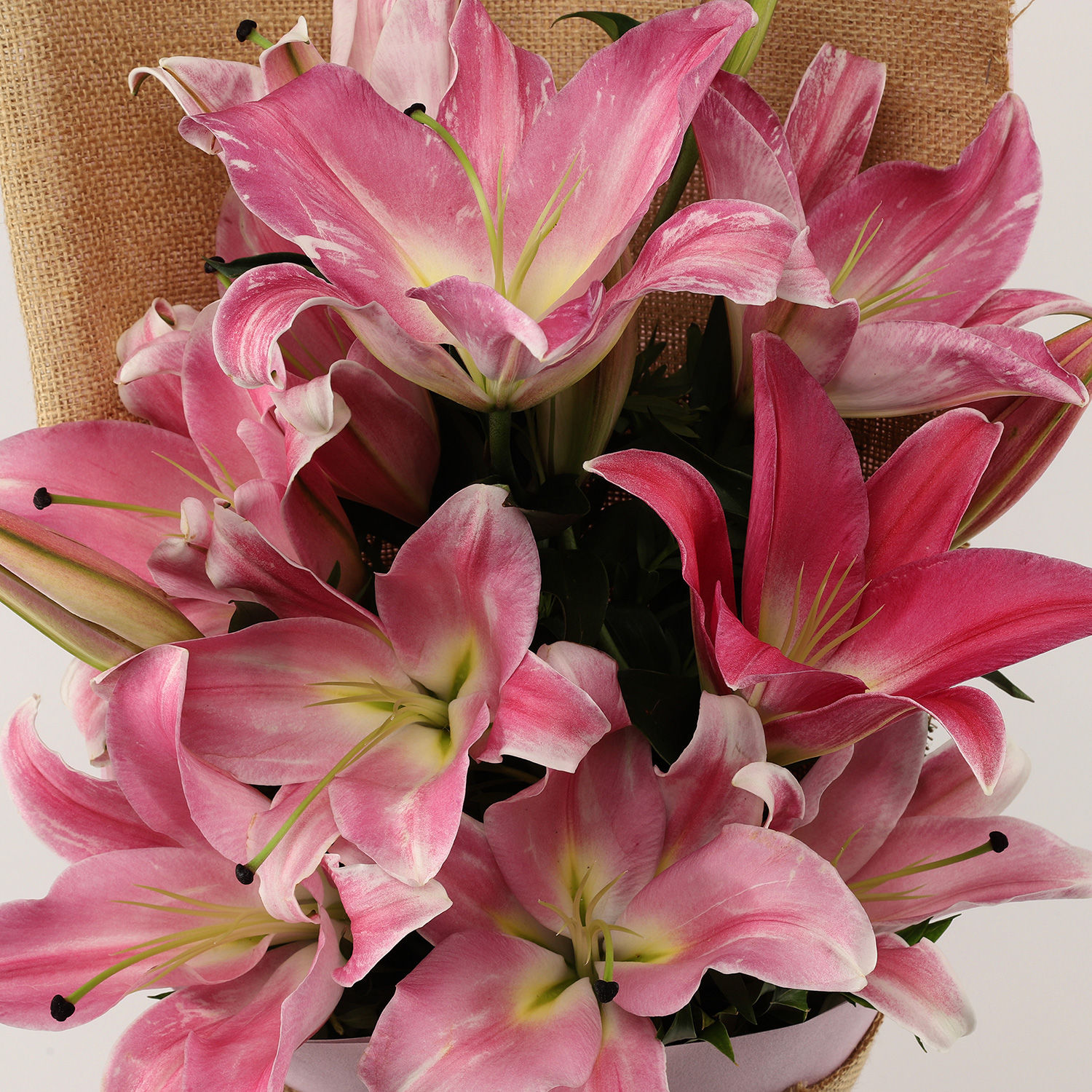 Buy/Send Oriental Pink Lilies Bunch Online- Ferns N Petals
