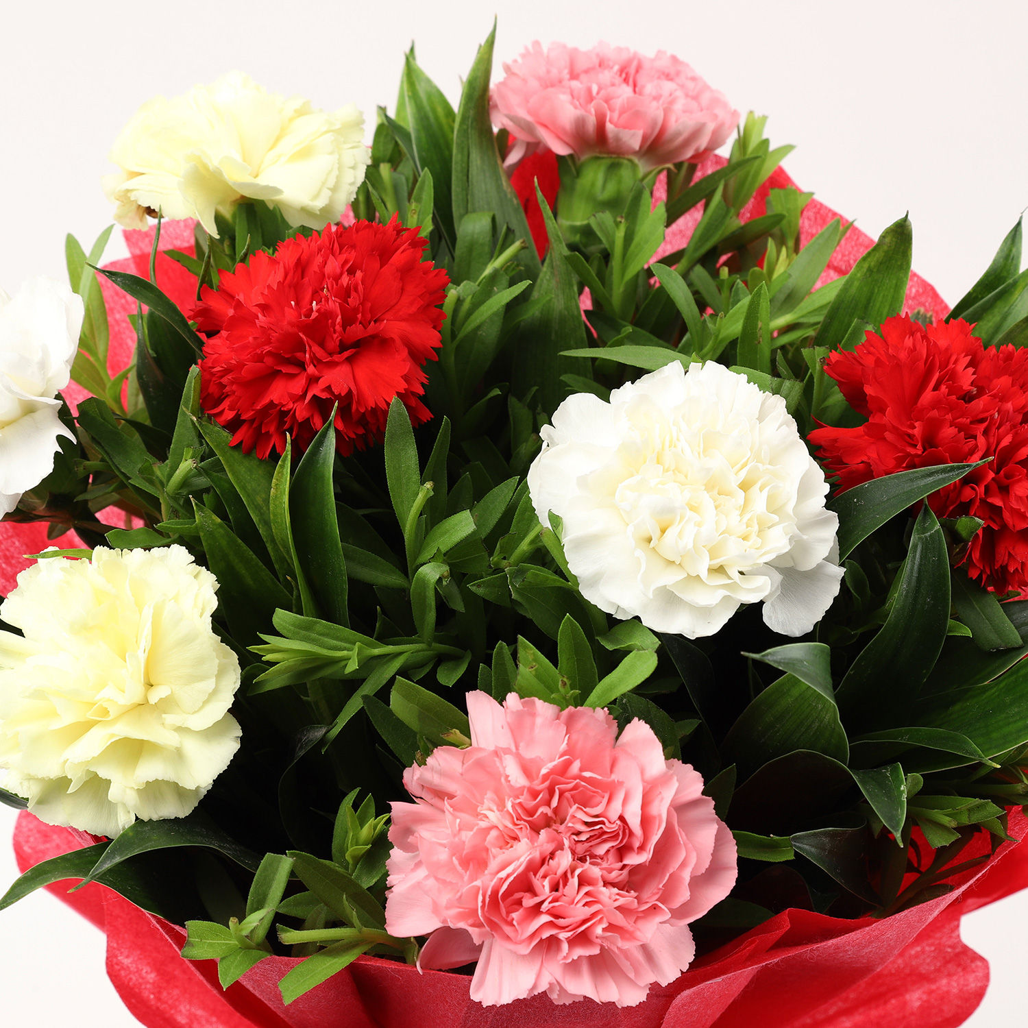 Buy Send Mixed Carnations Bouquet Small Online Ferns N Petals