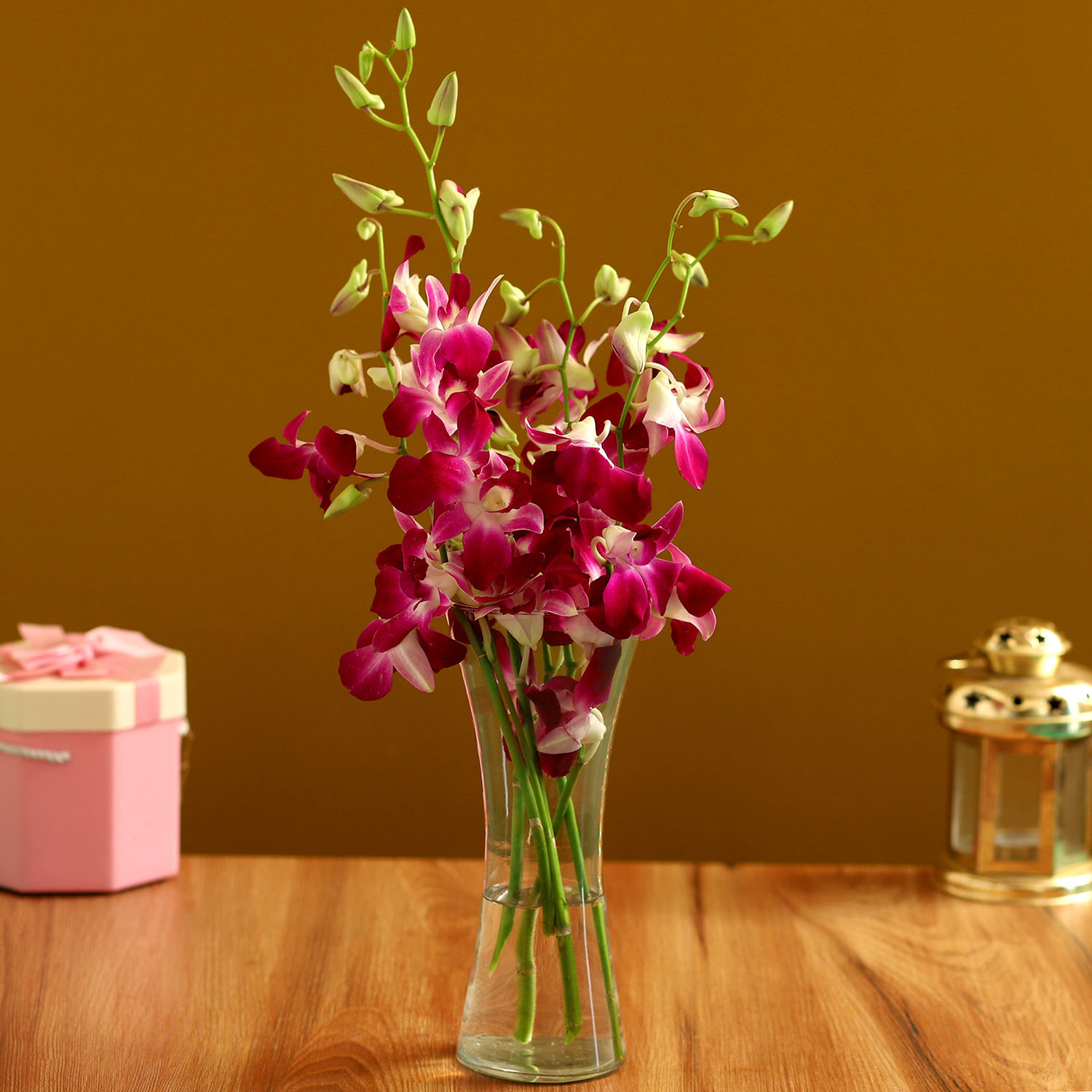 Buy/Send Ornamental Orchids Online Ferns N Petals