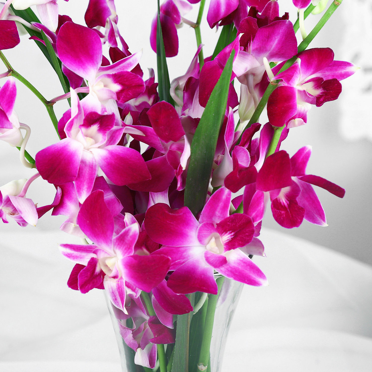 Buy/Send Vibrant Purple Orchid Bunch Online Ferns N Petals