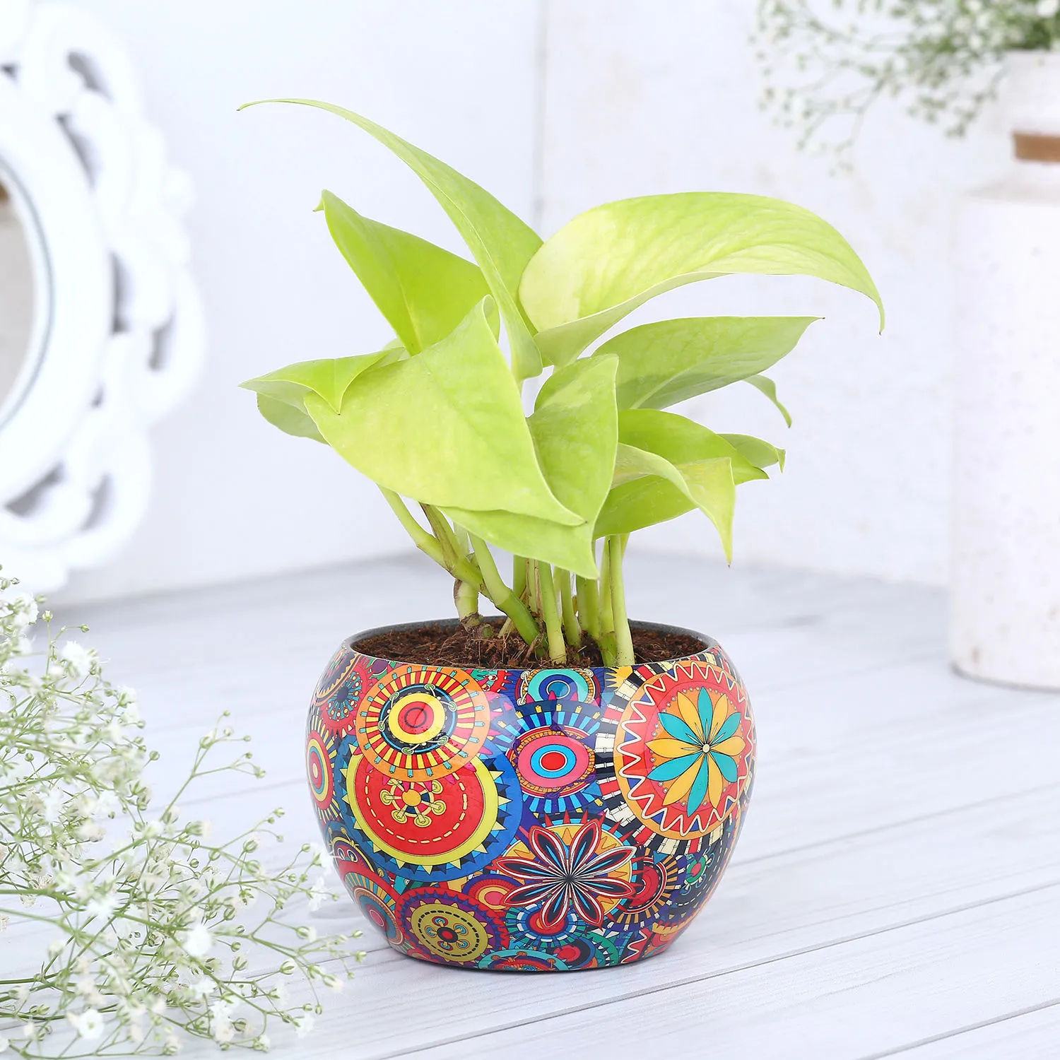 Buy/Send Money Plant In Colourfull Rajwada Printed Pot Hand Delivery