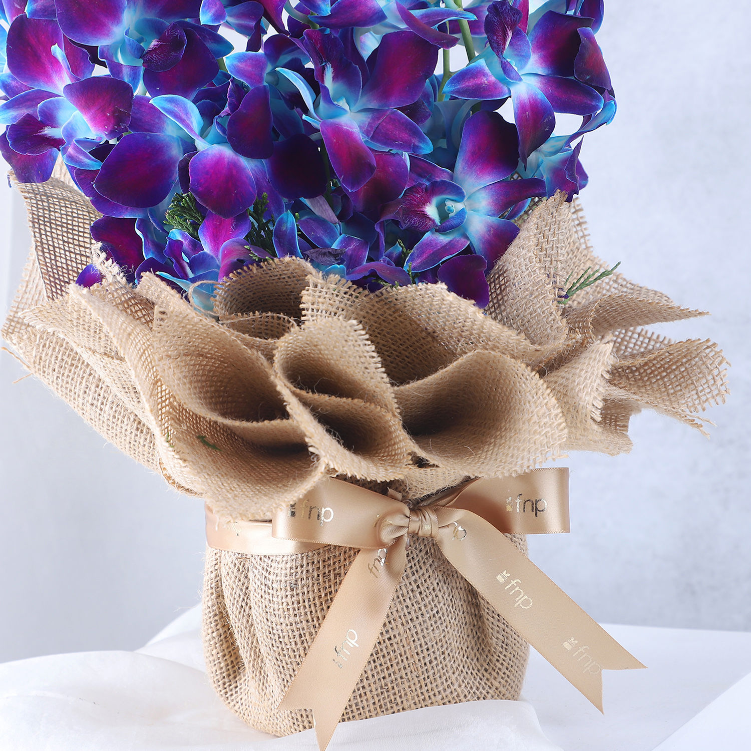 Buy/Send Gorgeous Blue Orchids Arrangement Online- Ferns N Petals